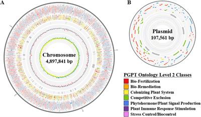 Plant growth-promoting effects of a novel Lelliottia sp. JS-SCA-14 and comparative genome analysis